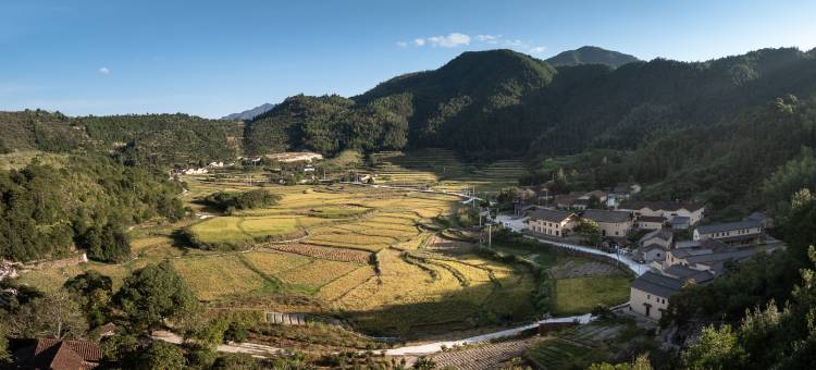 大乐之野(松阳店)图片