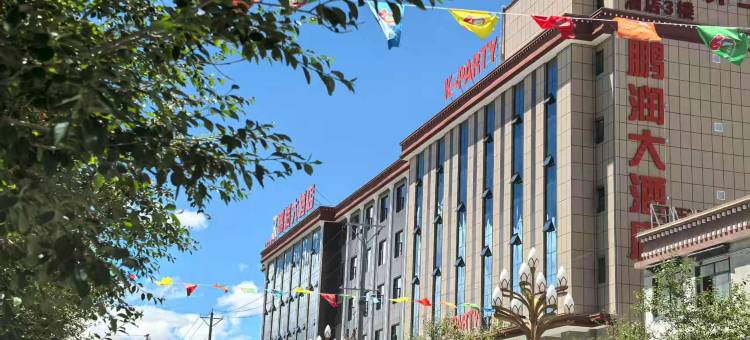 鹏润大酒店图片