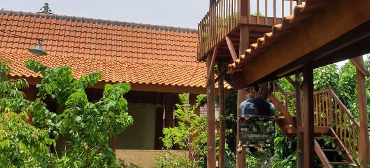 外南梦尼塔家庭旅馆(Nita's Homestay Banyuwangi)图片