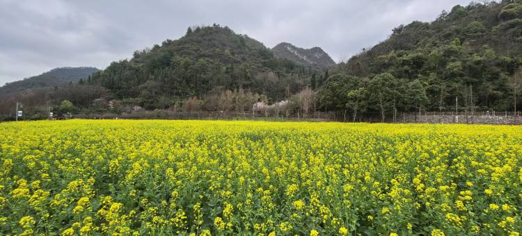 贵阳方得其所·猫屿墅(花溪公园店)图片
