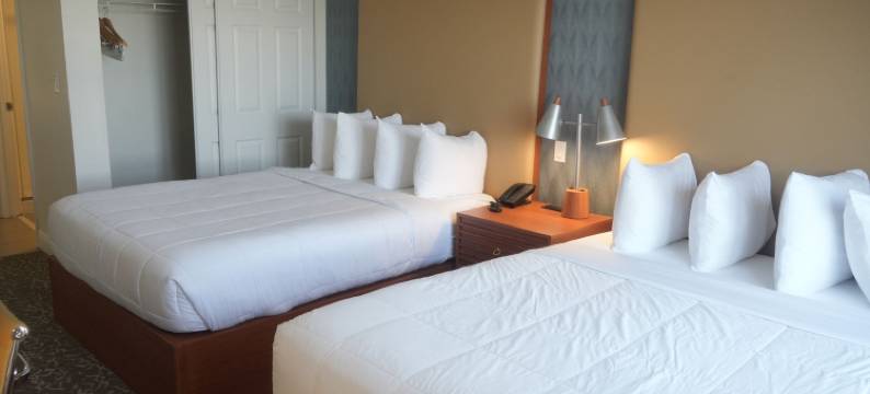 奥兰多蒙特利尔套房酒店(Montreal Suites Orlando)图片