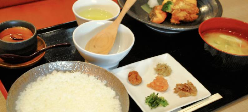 海茵娜酒店Premier 鹿儿岛天文馆(Henn na Hotel Premier Kagoshima Tenmonkan)图片