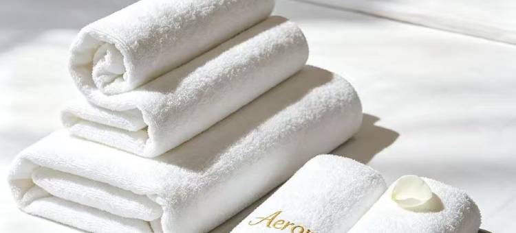 安瑞酒店丨塔什干机场店丨华人优选(AERON Hotel)图片