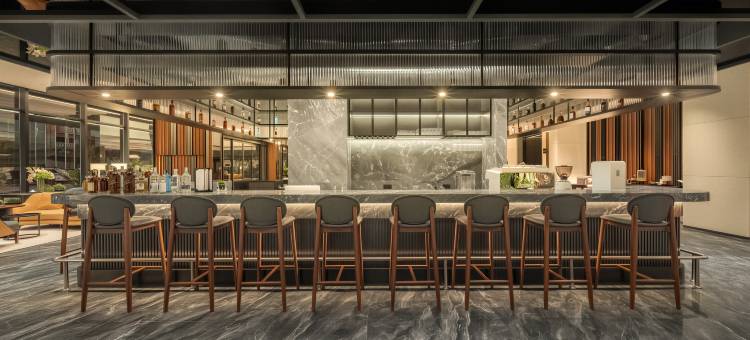 万象城际酒店(华住会旗下品牌)(Intercity Hotel Vientiane, A H WORLD hotel)图片
