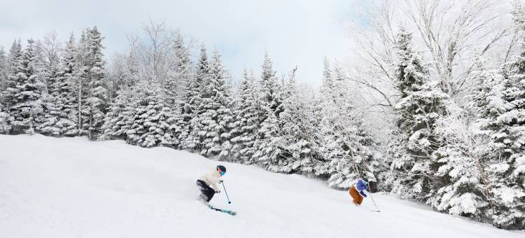 Club Med地中海俱乐部·魁北克夏洛瓦度假村(Club Med - Quebec Charlevoix)图片