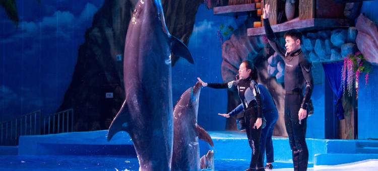 昆明滇池融创施柏阁酒店图片