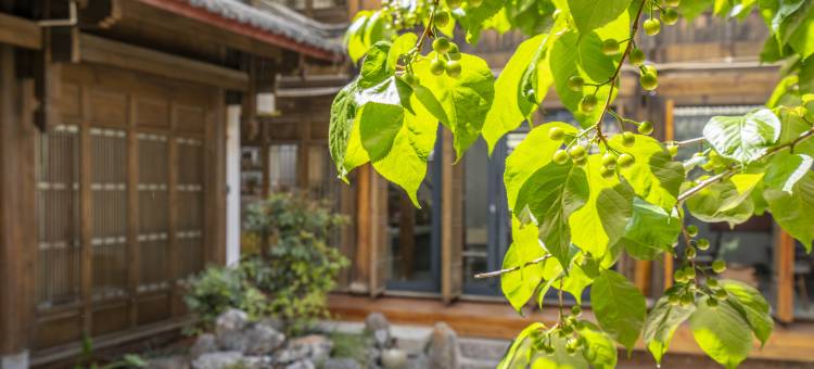 花筑·丽江尘点六度民宿(束河古镇荒野之国店)图片