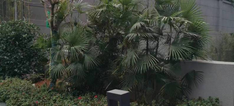 西南国际酒店(桔山广场黔西南州政务中心店)图片