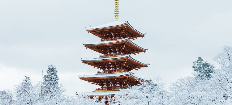 京都天桥立万枫酒店(Fairfield by Marriott Kyoto Amanohashidate)图片