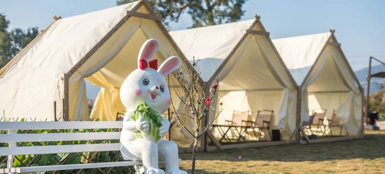 花筑·花田舍·滩涂日出·篝火营地·观景美宿(霞浦北岐滩涂店)图片