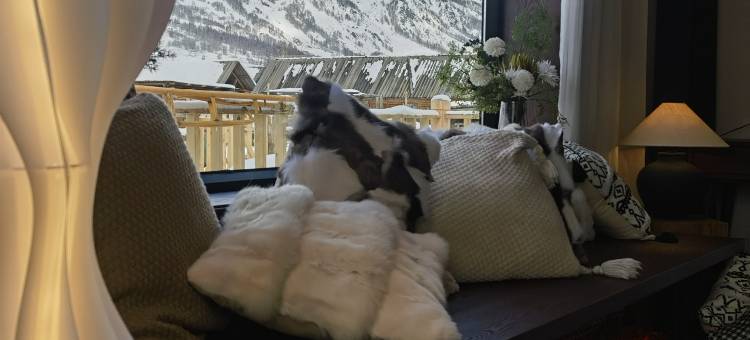 禾木云墅木屋·白桦林雪山赏景度假民宿(禾木风景区店)图片