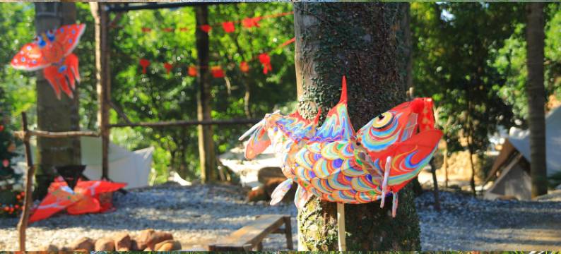 原乡野宿增城小森林营地图片