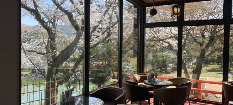 奈良酒店(Nara Hotel)图片