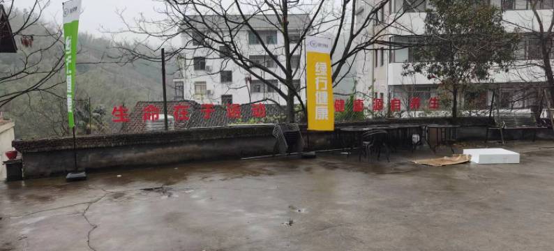 杭州天目山绿行康养山庄图片