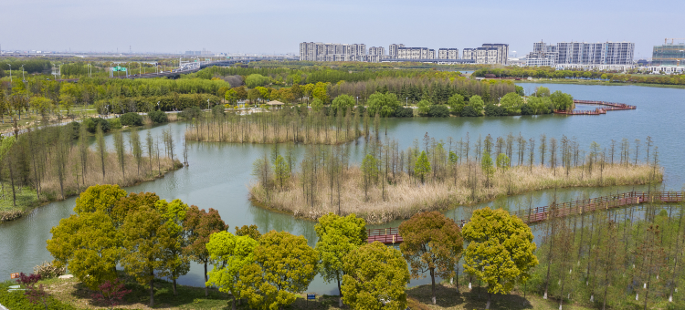 江门壹笙公寓(新汇大融城江门站店)图片