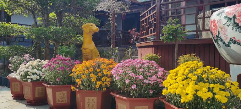 花筑·青岛坤鼎别院(崂山风景区店)图片