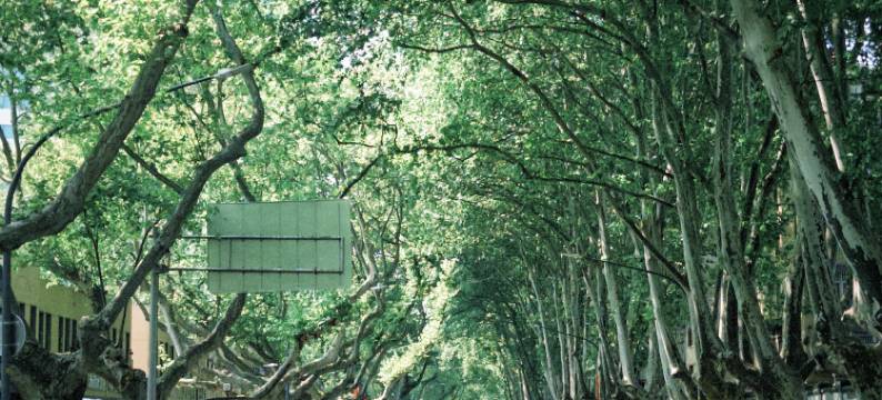 南京黄埔大酒店图片