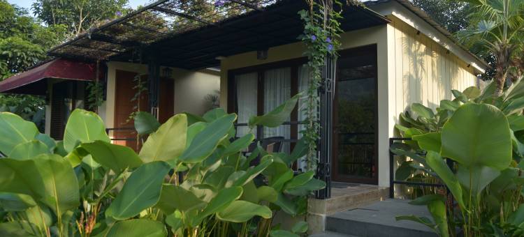 Sarga Earthing Resort图片