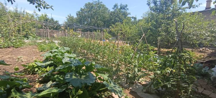 新源享家民宿图片