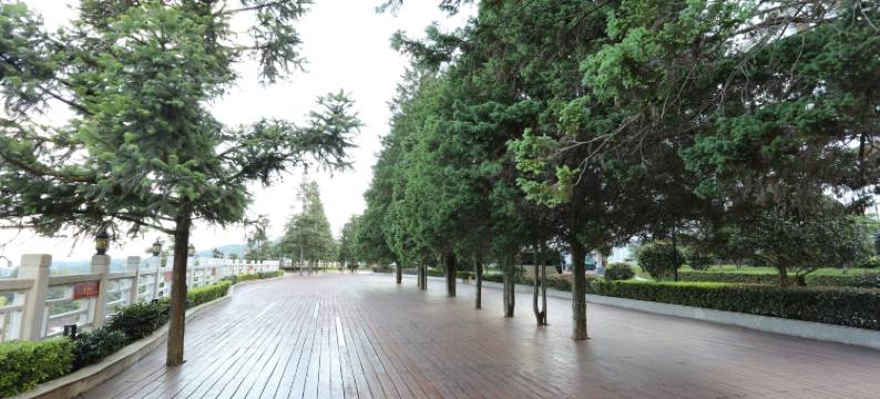 井冈山楠竹山庄图片