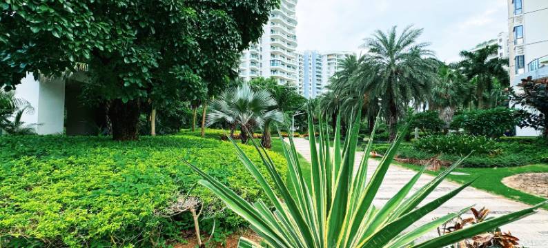 三亚海澜庭民宿酒店图片