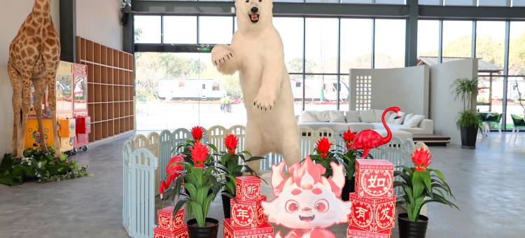 常州淹城小熊猫部落图片