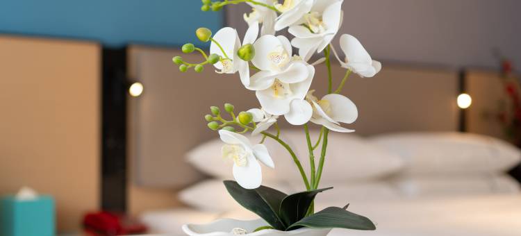 7天酒店(喀什万达广场店)图片