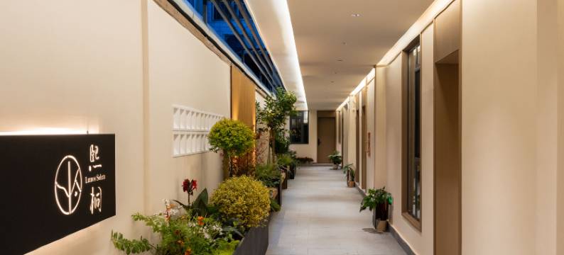 Lumos Solem·熙桐民宿(中国国花园店)图片