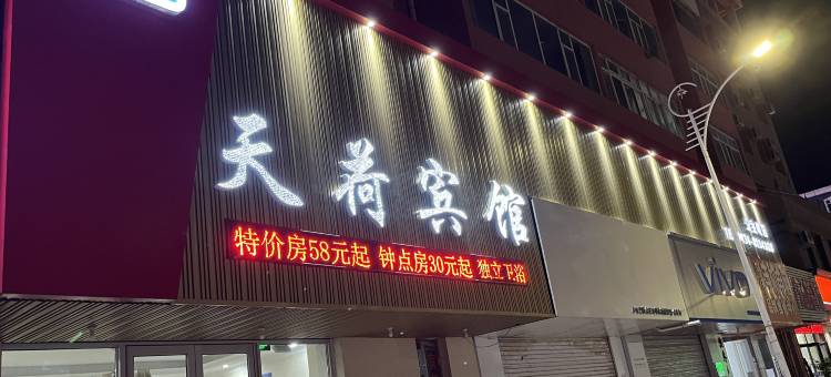 天荷宾馆图片