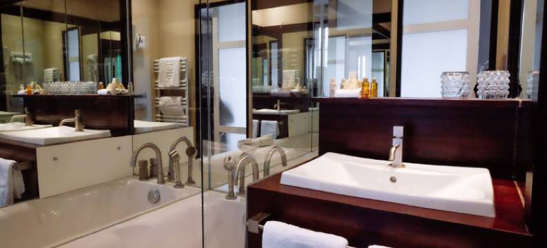 图卢兹美术酒店(Hôtel des Beaux Arts Toulouse)图片