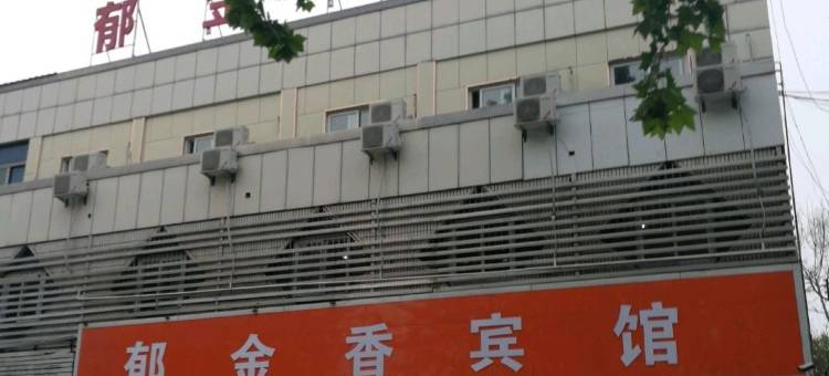 郁金香宾馆图片
