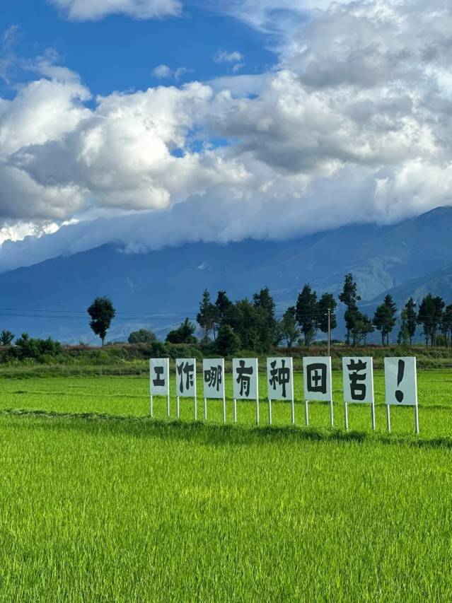 大理洲上云端民宿(喜洲古镇店)图片