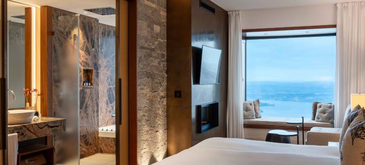 布尔根施托克酒店及度假村-阿尔卑斯水疗(Burgenstock Hotel & Alpine Spa)图片