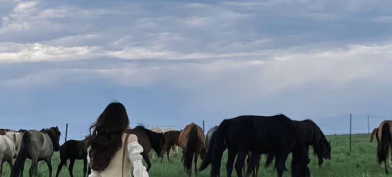 希拉穆仁小洲牧场民宿图片