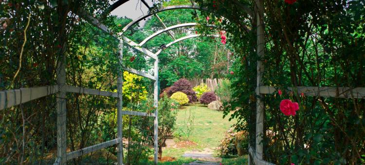 咕咚夫妇的小院图片