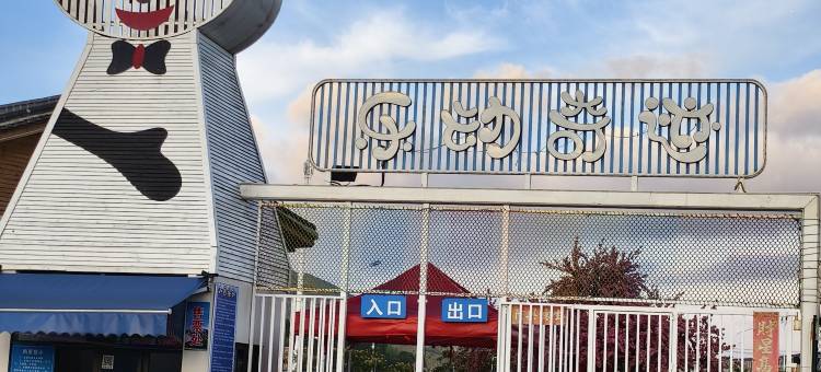 周宁时光静好民宿图片