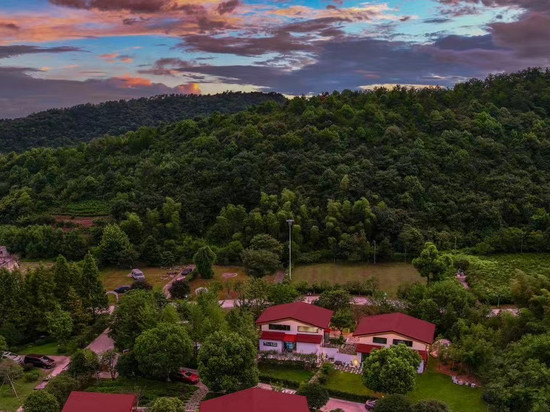 长兴林音茶语民宿