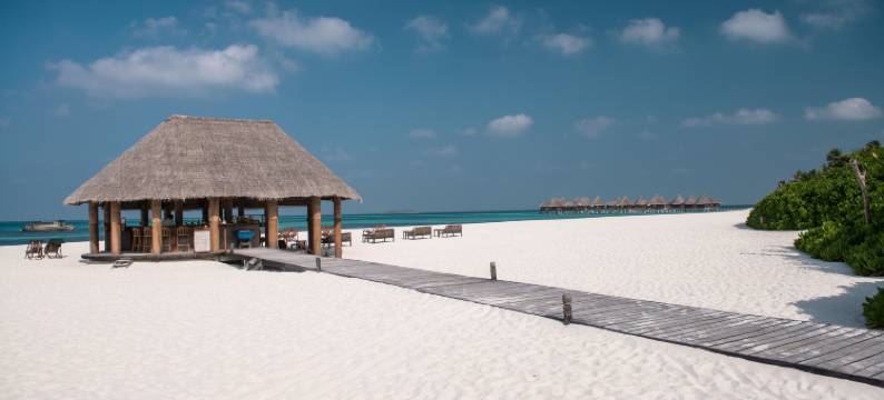 可可棕榈杜尼克鲁酒店(Coco Palm Dhuni Kolhu)图片