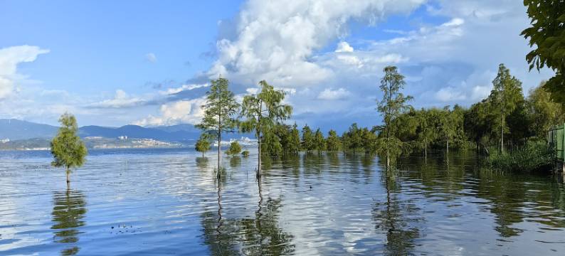 大理山海悦海景民宿(洱海生态廊道才村店)图片