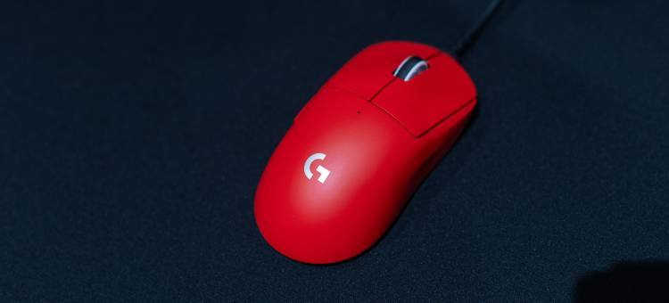 网鱼电竞酒店(扬中吾悦广场店)图片