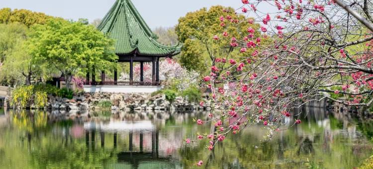 无锡鼋头渚风景区梅园太湖新光亚朵酒店图片