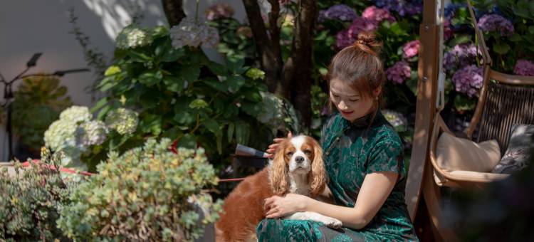 花筑·月半湾·雪山屋顶Coffee·花海漫步设计师庭院(丽江古城店)图片