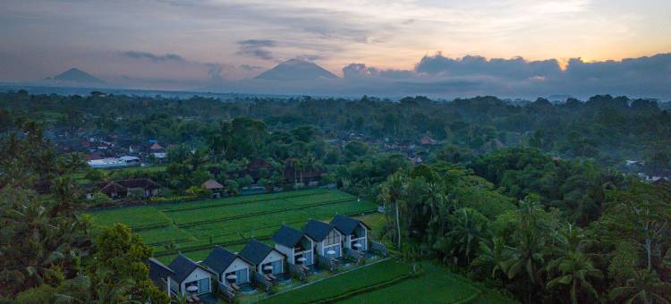 乌布阿斯卡亚(Ascarya Ubud)图片