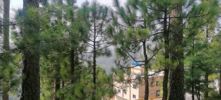 Navid's Holiday Resort and Hotel, Murree图片