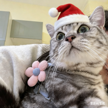 曼斯·豪斯酒店(三穗米兰商业广场店)图片