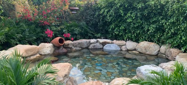 仙游万佳国际温泉度假村(鲤南永鸿文化城店)图片