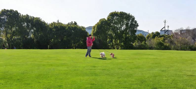杭州临安青山湖科技城万丽酒店图片