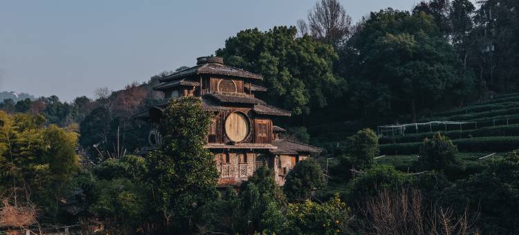 杭州桂花山庄图片