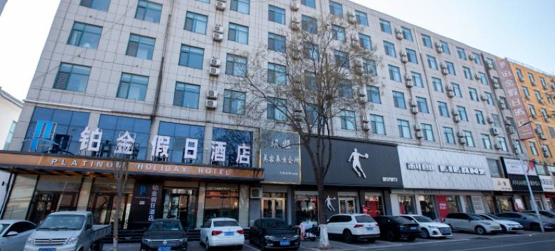 大名铂金假日酒店(大名明清古城店)图片