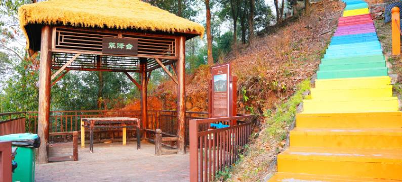 云季中央酒店(澧县万达广场店)图片